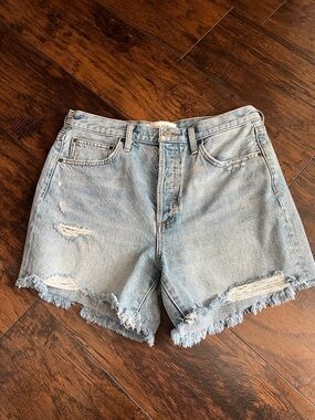 Aritzia Denim Forum The Ex Boyfriend Midi Short